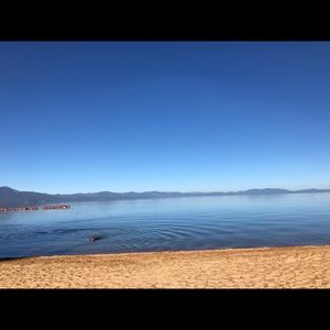 Meet your Posher, Sam